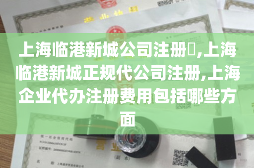 上海临港新城公司注册​,上海临港新城正规代公司注册,上海企业代办注册费用包括哪些方面