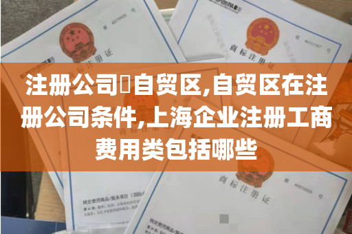 注册公司​自贸区,自贸区在注册公司条件,上海企业注册工商费用类包括哪些
