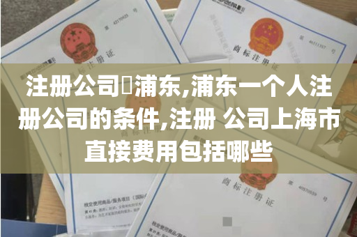 注册公司​浦东,浦东一个人注册公司的条件,注册 公司上海市直接费用包括哪些