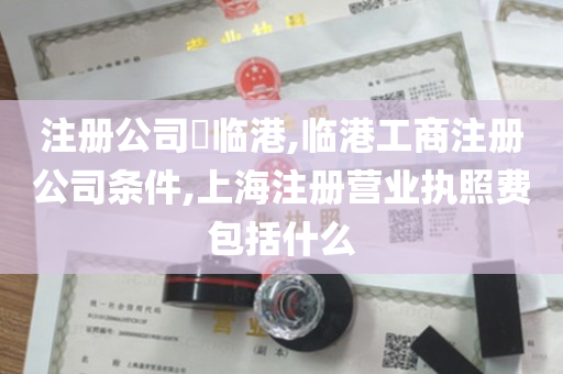 注册公司​临港,临港工商注册公司条件,上海注册营业执照费包括什么
