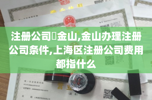 注册公司​金山,金山办理注册公司条件,上海区注册公司费用都指什么