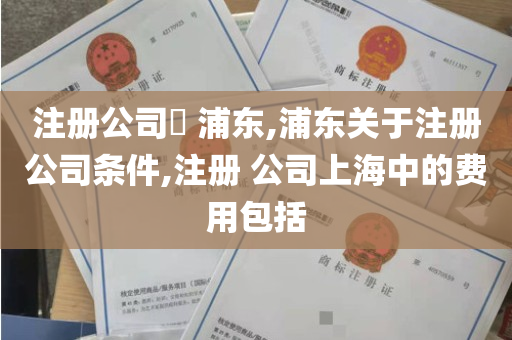 注册公司​ 浦东,浦东关于注册公司条件,注册 公司上海中的费用包括
