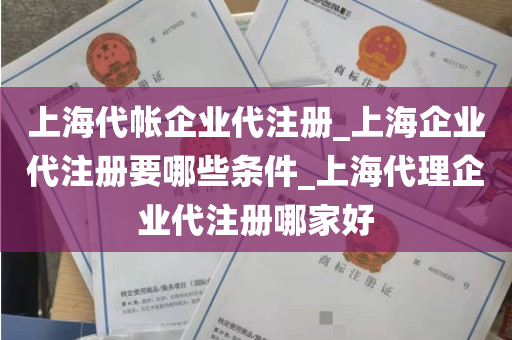 上海代帐企业代注册_上海企业代注册要哪些条件_上海代理企业代注册哪家好
