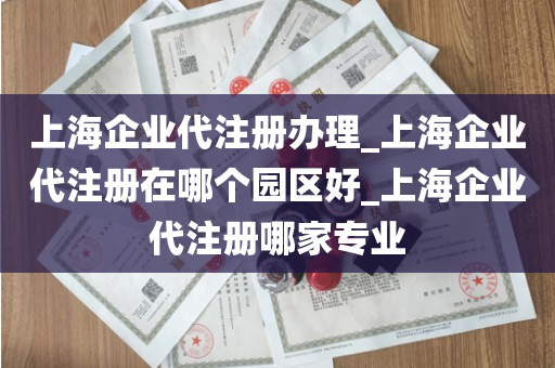 上海企业代注册办理_上海企业代注册在哪个园区好_上海企业代注册哪家专业