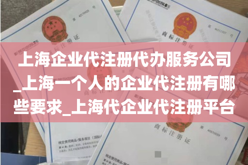 上海企业代注册代办服务公司_上海一个人的企业代注册有哪些要求_上海代企业代注册平台