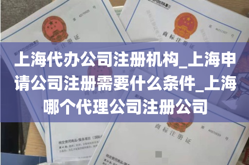 上海代办公司注册机构_上海申请公司注册需要什么条件_上海哪个代理公司注册公司