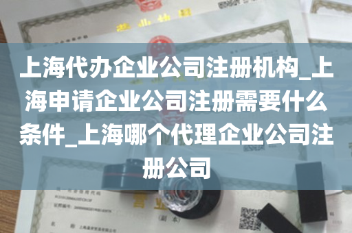 上海代办企业公司注册机构_上海申请企业公司注册需要什么条件_上海哪个代理企业公司注册公司