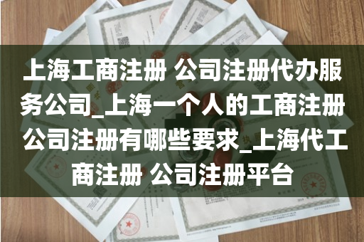 上海工商注册 公司注册代办服务公司_上海一个人的工商注册 公司注册有哪些要求_上海代工商注册 公司注册平台