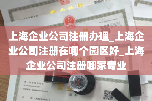 上海企业公司注册办理_上海企业公司注册在哪个园区好_上海企业公司注册哪家专业