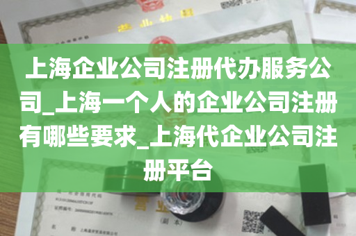 上海企业公司注册代办服务公司_上海一个人的企业公司注册有哪些要求_上海代企业公司注册平台