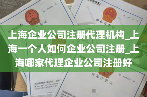 上海企业公司注册代理机构_上海一个人如何企业公司注册_上海哪家代理企业公司注册好