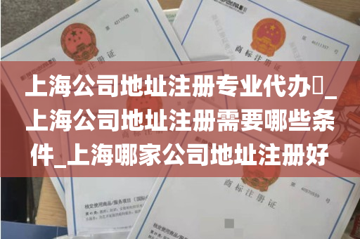 上海公司地址注册专业代办​_上海公司地址注册需要哪些条件_上海哪家公司地址注册好