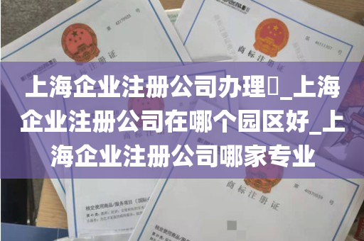 上海企业注册公司办理​_上海企业注册公司在哪个园区好_上海企业注册公司哪家专业