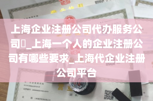 上海企业注册公司代办服务公司​_上海一个人的企业注册公司有哪些要求_上海代企业注册公司平台