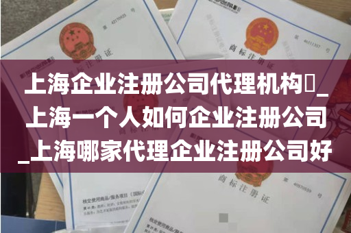 上海企业注册公司代理机构​_上海一个人如何企业注册公司_上海哪家代理企业注册公司好