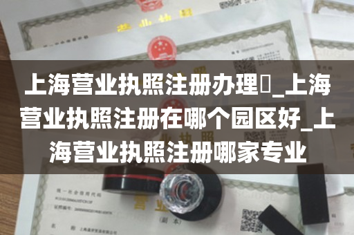 上海营业执照注册办理​_上海营业执照注册在哪个园区好_上海营业执照注册哪家专业