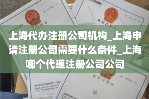 上海代办注册公司机构_上海申请注册公司需要什么条件_上海哪个代理注册公司公司