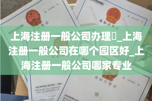 上海注册一般公司办理​_上海注册一般公司在哪个园区好_上海注册一般公司哪家专业