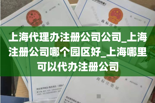 上海代理办注册公司公司_上海注册公司哪个园区好_上海哪里可以代办注册公司