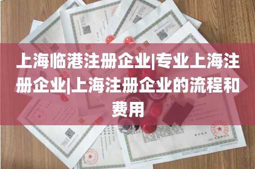 上海临港注册企业|专业上海注册企业|上海注册企业的流程和费用