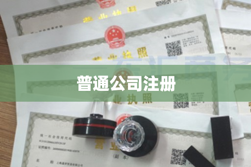 普通公司注册