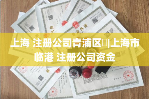 上海 注册公司青浦区​|上海市临港 注册公司资金