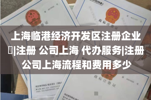 上海临港经济开发区注册企业​|注册 公司上海 代办服务|注册 公司上海流程和费用多少