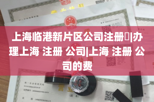 上海临港新片区公司注册​|办理上海 注册 公司|上海 注册 公司的费