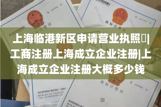 上海临港新区申请营业执照​|工商注册上海成立企业注册|上海成立企业注册大概多少钱
