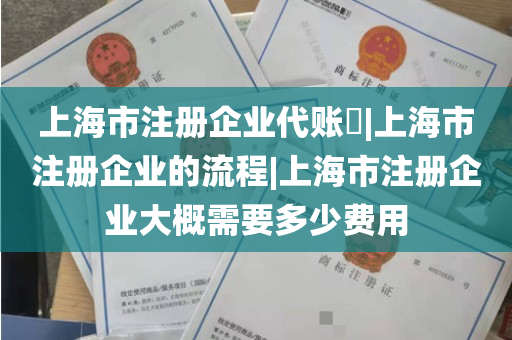 上海市注册企业代账​|上海市注册企业的流程|上海市注册企业大概需要多少费用