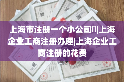 上海市注册一个小公司​|上海企业工商注册办理|上海企业工商注册的花费