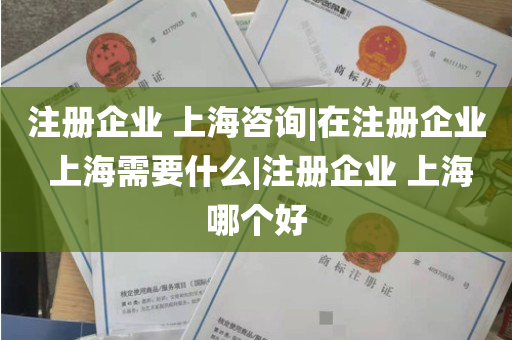 注册企业 上海咨询|在注册企业 上海需要什么|注册企业 上海哪个好