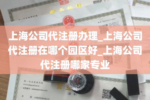 上海公司代注册办理_上海公司代注册在哪个园区好_上海公司代注册哪家专业