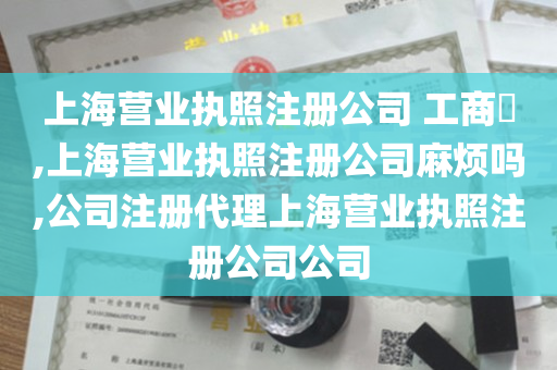 上海营业执照注册公司 工商​,上海营业执照注册公司麻烦吗,公司注册代理上海营业执照注册公司公司