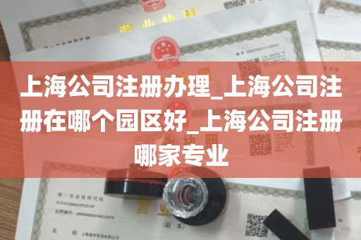 上海公司注册办理_上海公司注册在哪个园区好_上海公司注册哪家专业