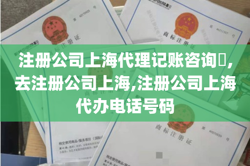 注册公司上海代理记账咨询​,去注册公司上海,注册公司上海代办电话号码