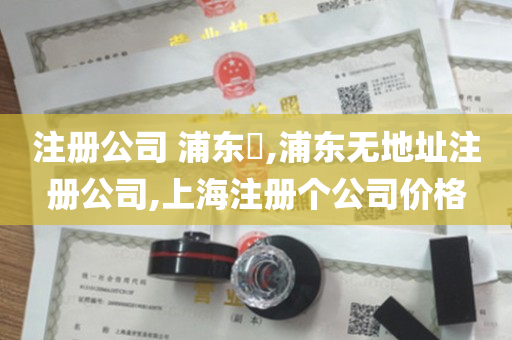 注册公司 浦东​,浦东无地址注册公司,上海注册个公司价格