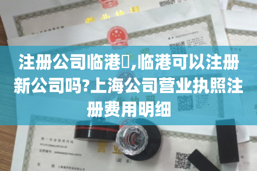 注册公司临港​,临港可以注册新公司吗?上海公司营业执照注册费用明细