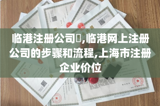 临港注册公司​,临港网上注册公司的步骤和流程,上海市注册企业价位
