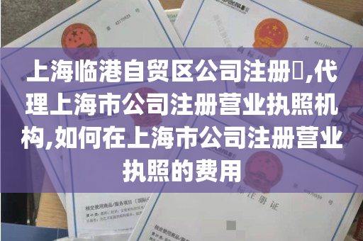 上海临港自贸区公司注册​,代理上海市公司注册营业执照机构,如何在上海市公司注册营业执照的费用