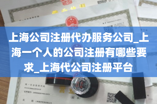 上海公司注册代办服务公司_上海一个人的公司注册有哪些要求_上海代公司注册平台