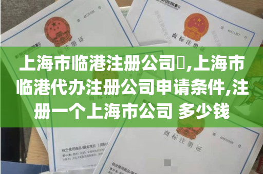 上海市临港注册公司​,上海市临港代办注册公司申请条件,注册一个上海市公司 多少钱