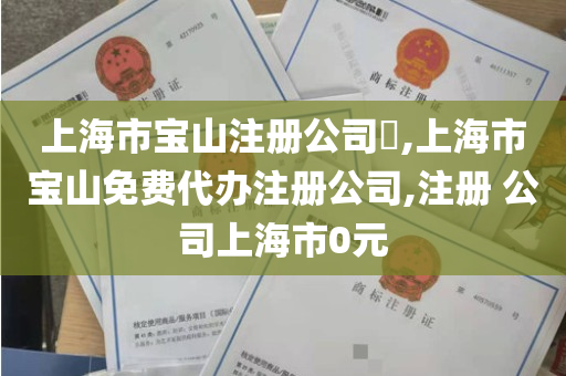 上海市宝山注册公司​,上海市宝山免费代办注册公司,注册 公司上海市0元