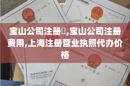 宝山公司注册​,宝山公司注册费用,上海注册营业执照代办价格