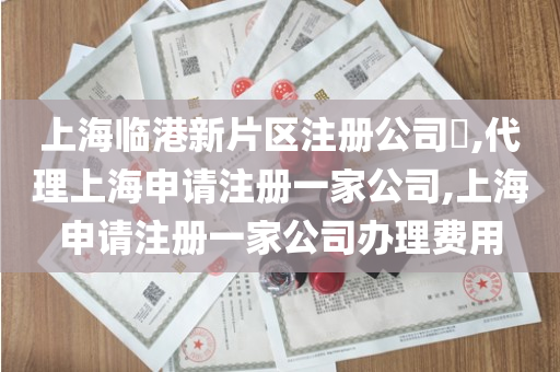 上海临港新片区注册公司​,代理上海申请注册一家公司,上海申请注册一家公司办理费用