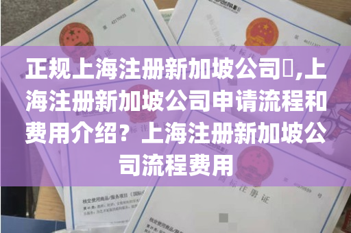 正规上海注册新加坡公司​,上海注册新加坡公司申请流程和费用介绍？上海注册新加坡公司流程费用
