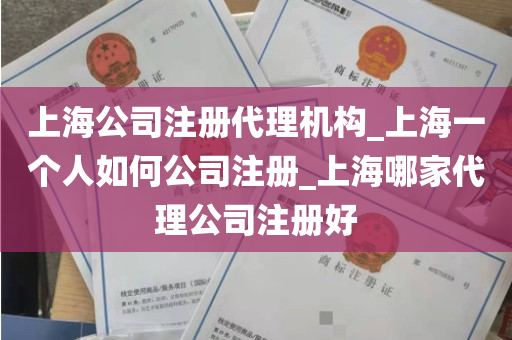 上海公司注册代理机构_上海一个人如何公司注册_上海哪家代理公司注册好