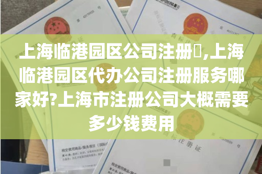 上海临港园区公司注册​,上海临港园区代办公司注册服务哪家好?上海市注册公司大概需要多少钱费用
