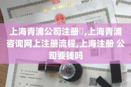 上海青浦公司注册​,上海青浦咨询网上注册流程,上海注册 公司要钱吗
