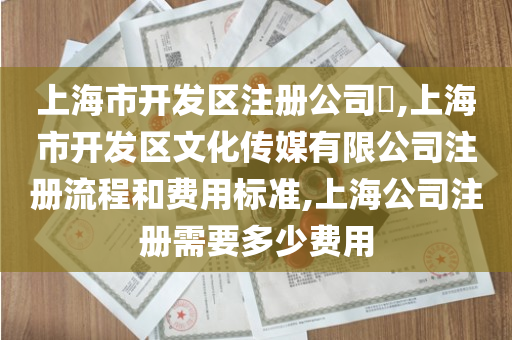 上海市开发区注册公司​,上海市开发区文化传媒有限公司注册流程和费用标准,上海公司注册需要多少费用